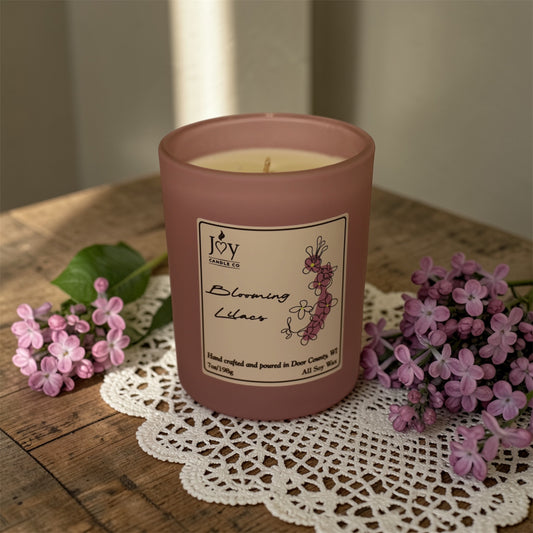 Blooming Lilacs