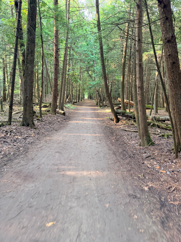 Wander the Trails