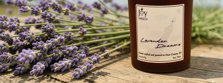 Lavender Dreams